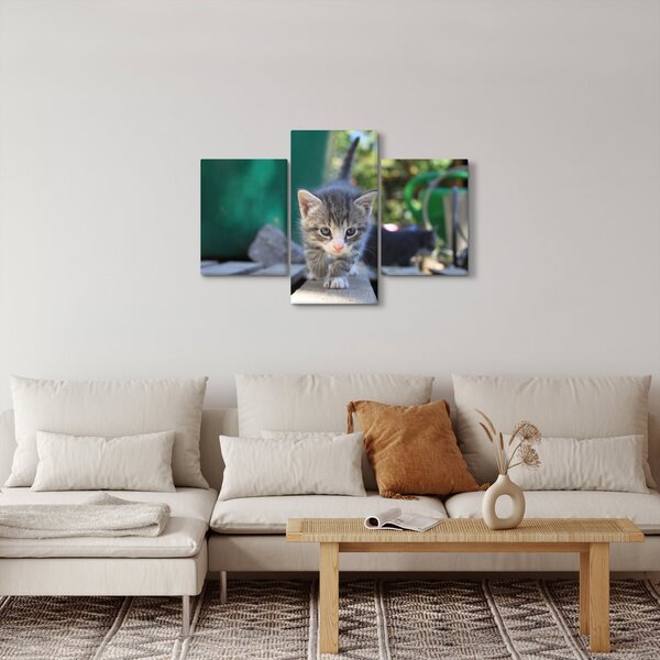 Slika mačića (90x60 cm)