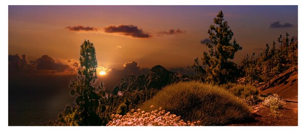 Slika prirode sa zalaskom sunca (120x50 cm)