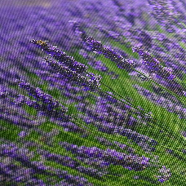 Slika - lavanda (70x50 cm)