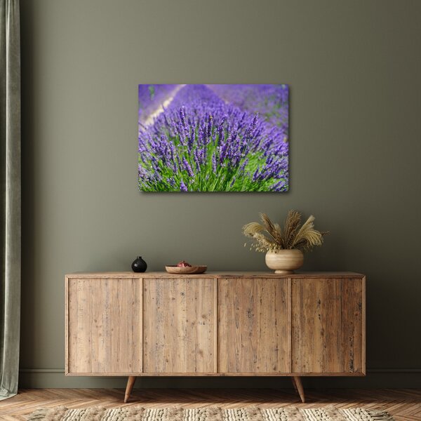 Slika - lavanda (70x50 cm)