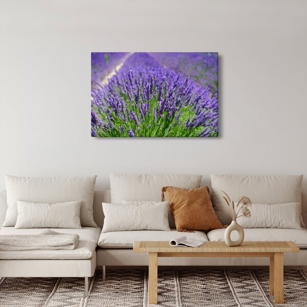 Slika - lavanda (90x60 cm)