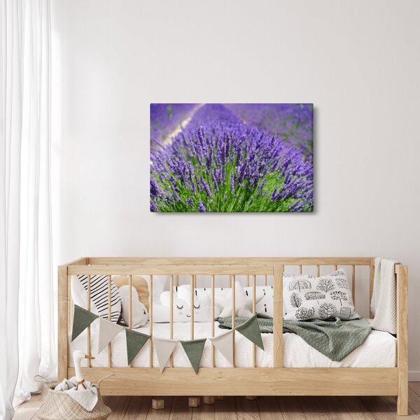 Slika - lavanda (90x60 cm)