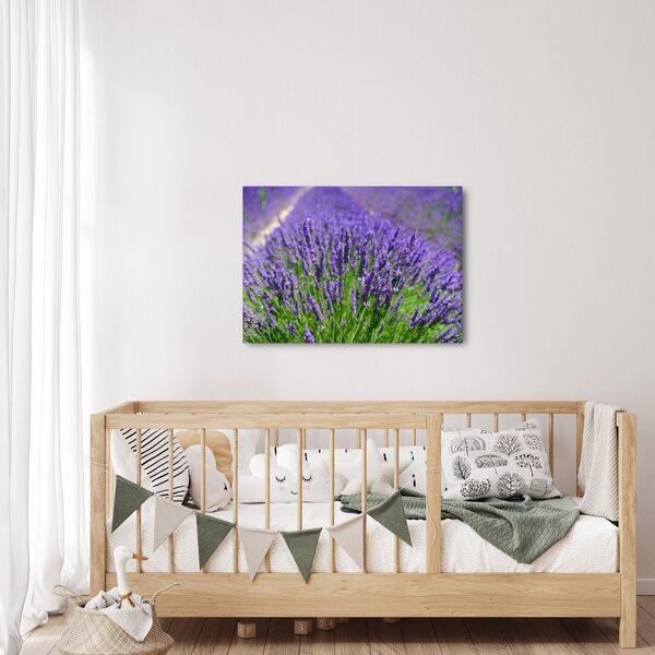 Slika - lavanda (70x50 cm)