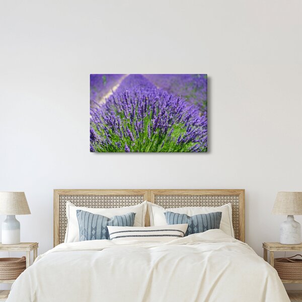 Slika - lavanda (90x60 cm)