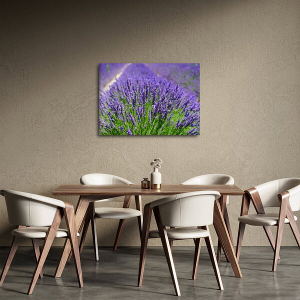 Slika - lavanda (70x50 cm)