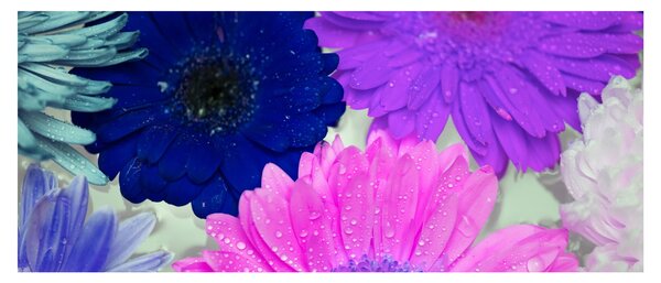 Slika šarenog cvijeća (120x50 cm)