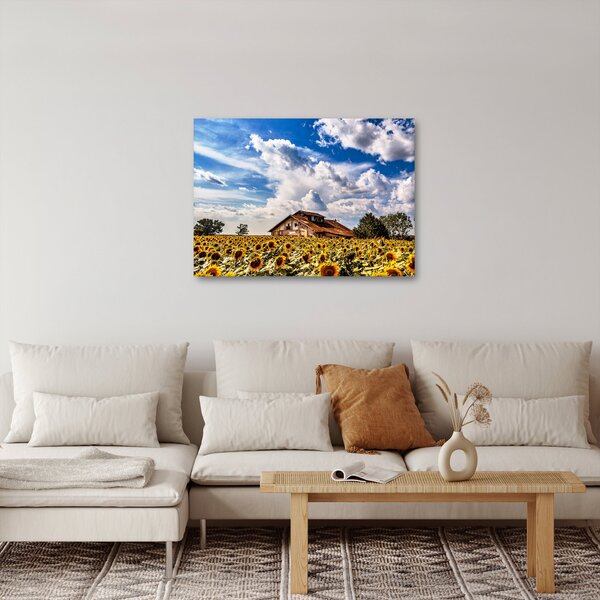 Slika polja suncokreta (70x50 cm)