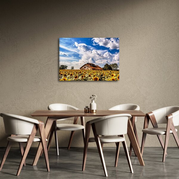 Slika polja suncokreta (70x50 cm)