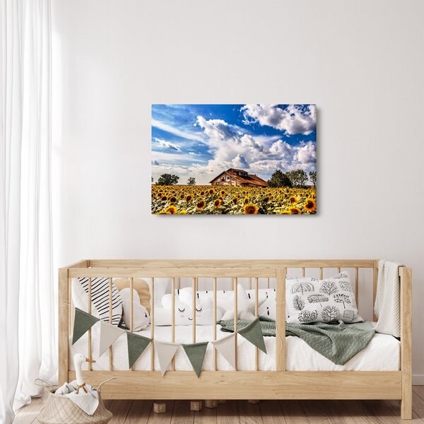 Slika polja suncokreta (90x60 cm)
