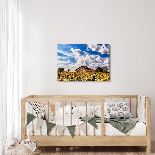 Slika polja suncokreta (70x50 cm)