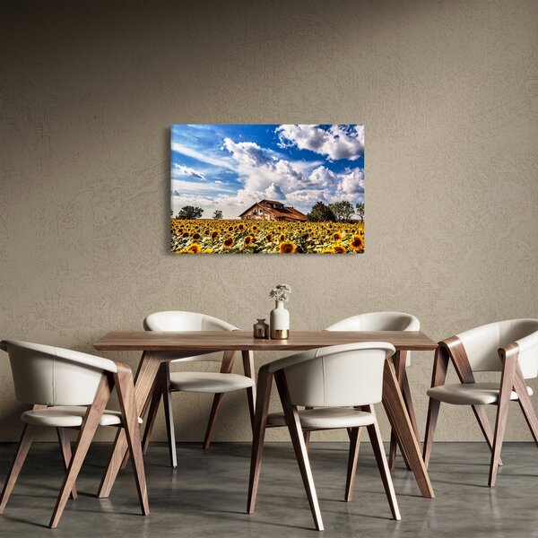 Slika polja suncokreta (90x60 cm)