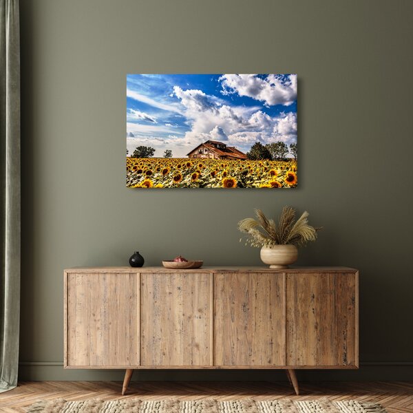 Slika polja suncokreta (90x60 cm)