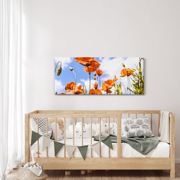 Slika maka (120x50 cm)