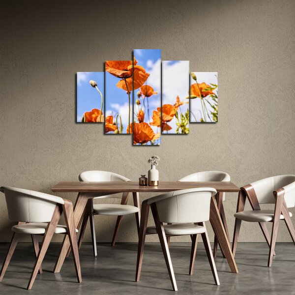 Slika maka (150x105 cm)