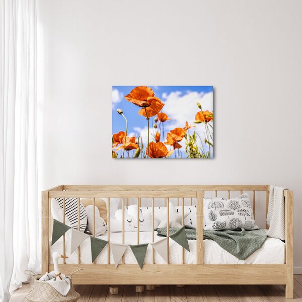Slika maka (70x50 cm)