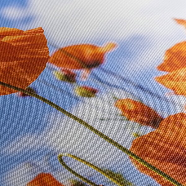 Slika maka (120x50 cm)