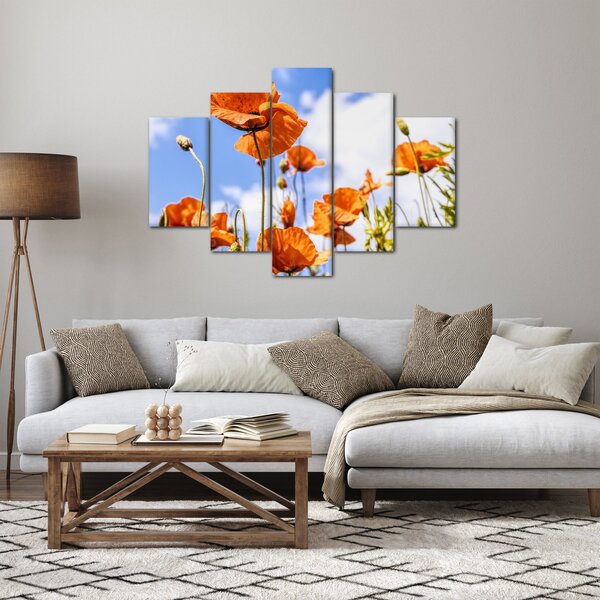 Slika maka (150x105 cm)