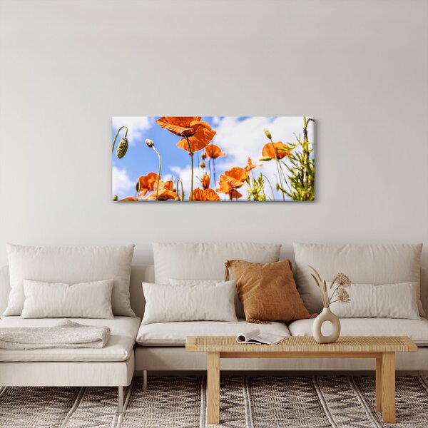 Slika maka (120x50 cm)
