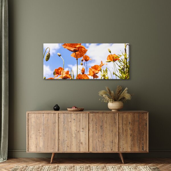 Slika maka (120x50 cm)