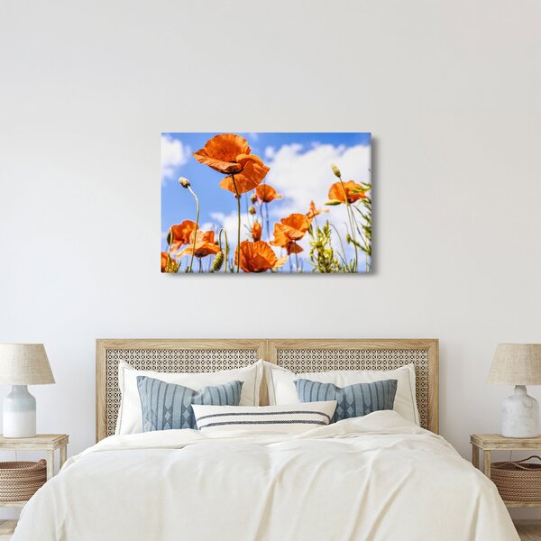 Slika maka (90x60 cm)