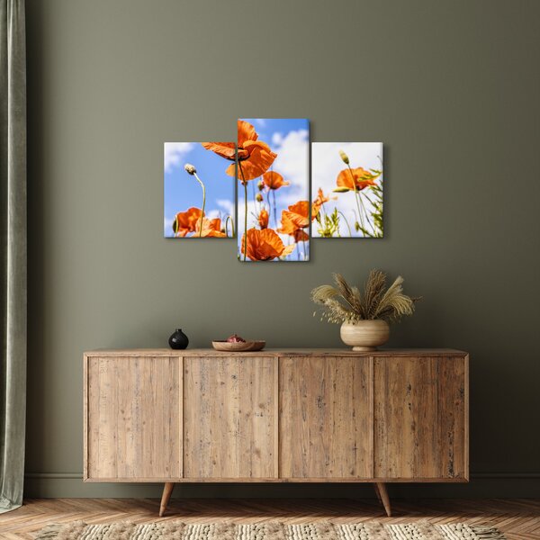 Slika maka (90x60 cm)