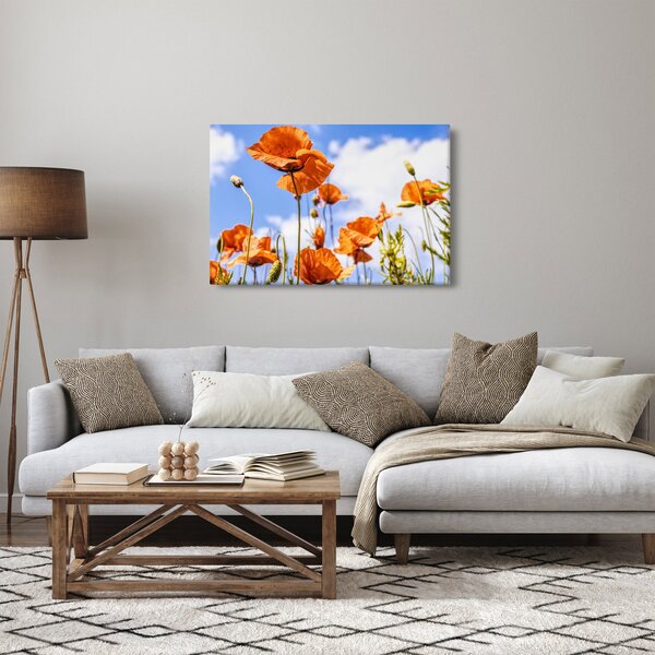 Slika maka (90x60 cm)