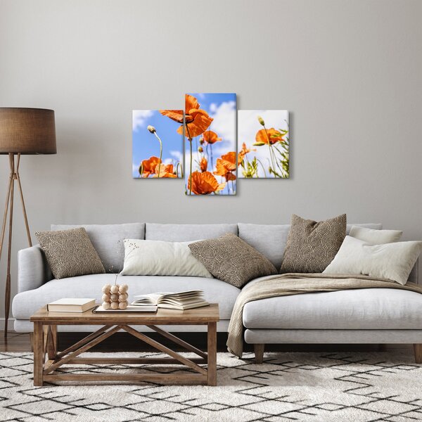 Slika maka (90x60 cm)