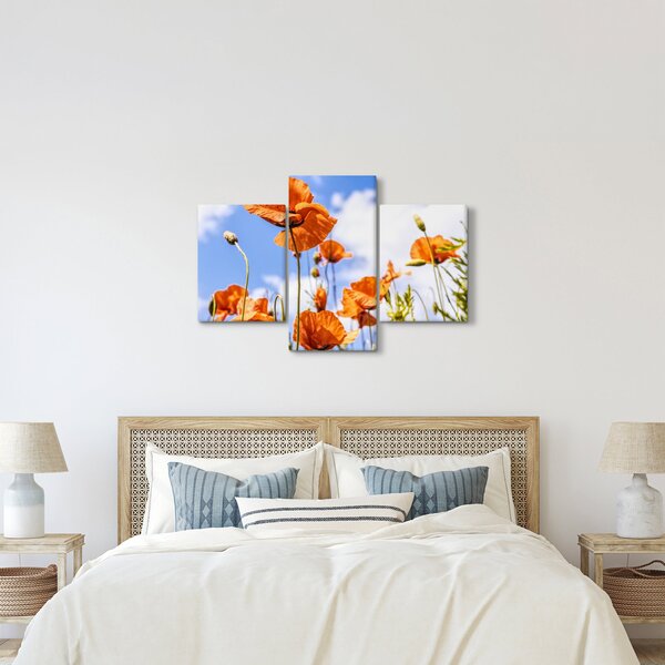 Slika maka (90x60 cm)