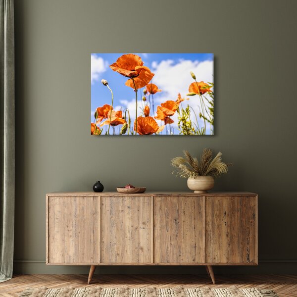 Slika maka (90x60 cm)