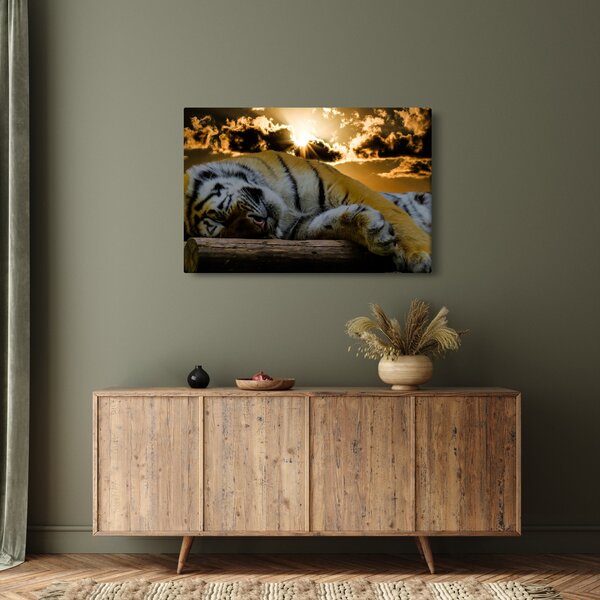 Slika usnulog tigra (90x60 cm)