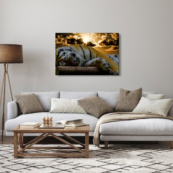Slika usnulog tigra (90x60 cm)