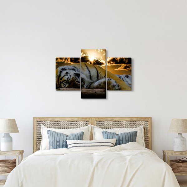 Slika usnulog tigra (90x60 cm)