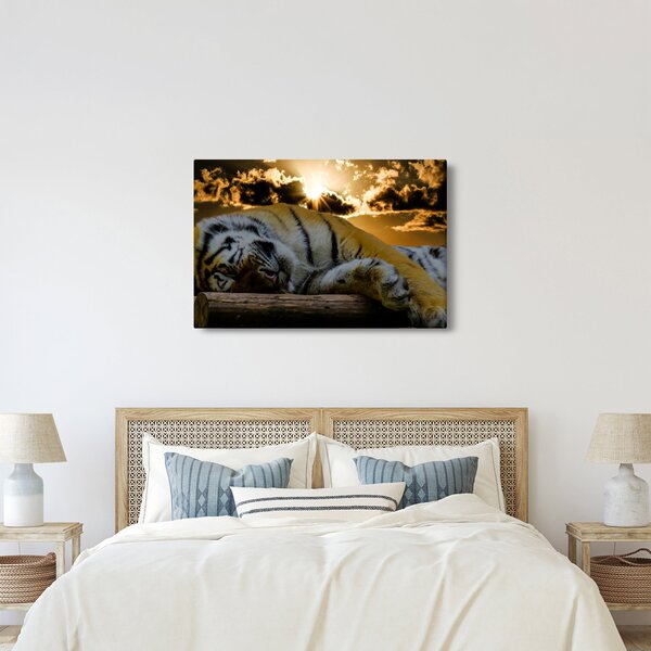 Slika usnulog tigra (90x60 cm)