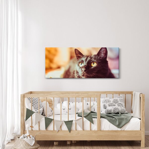 Slika crne mačke (120x50 cm)
