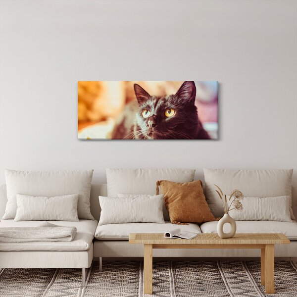 Slika crne mačke (120x50 cm)