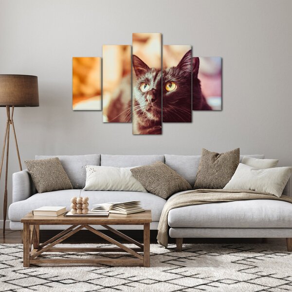 Slika crne mačke (150x105 cm)