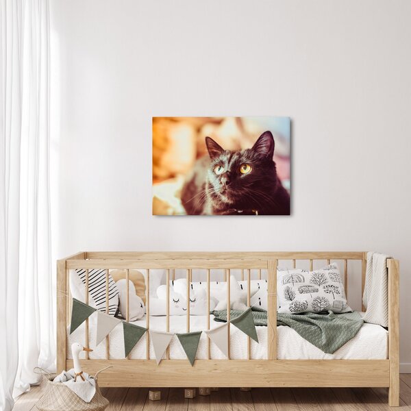 Slika crne mačke (70x50 cm)