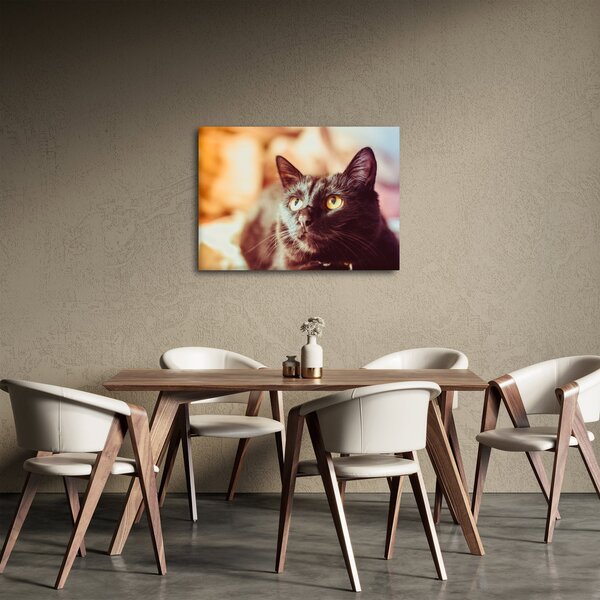 Slika crne mačke (70x50 cm)