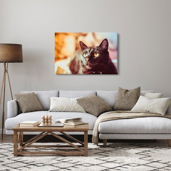 Slika crne mačke (90x60 cm)