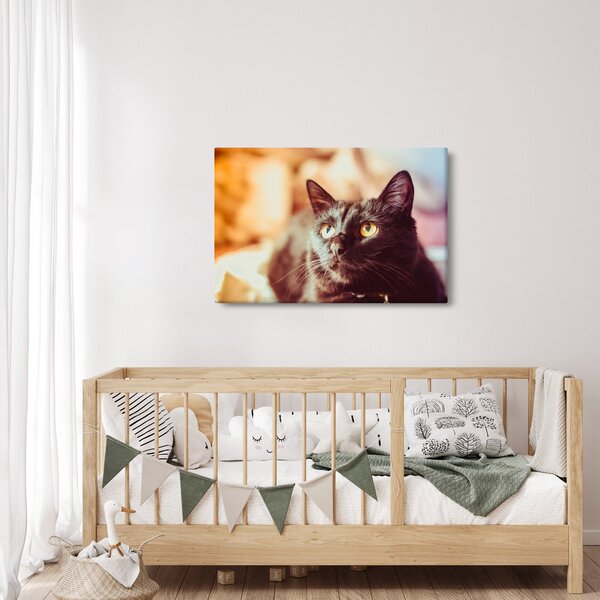 Slika crne mačke (90x60 cm)