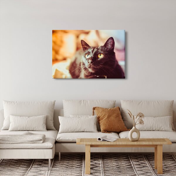 Slika crne mačke (90x60 cm)