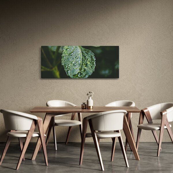 Slika - kapi na listu (120x50 cm)
