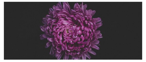 Slika ljubičastog cvijeta (120x50 cm)