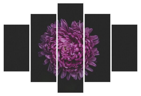Slika ljubičastog cvijeta (150x105 cm)