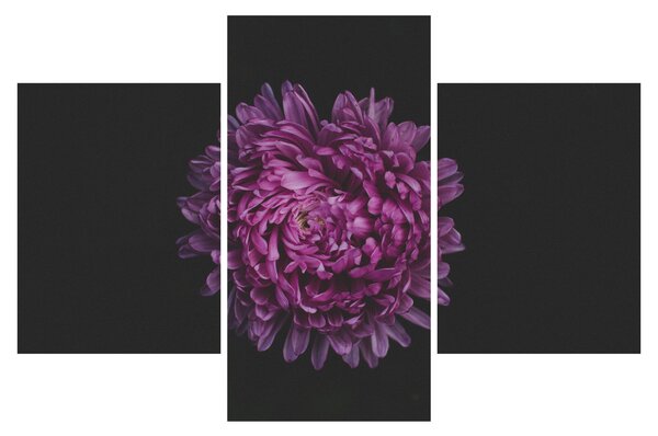 Slika ljubičastog cvijeta (90x60 cm)
