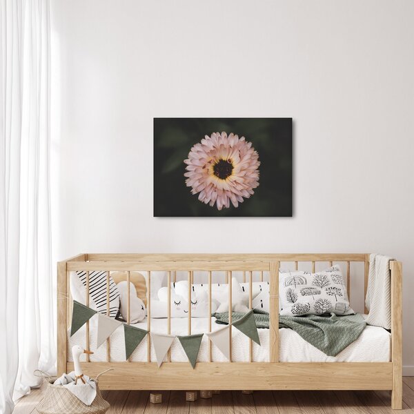 Slika narančastog cvijeta (70x50 cm)