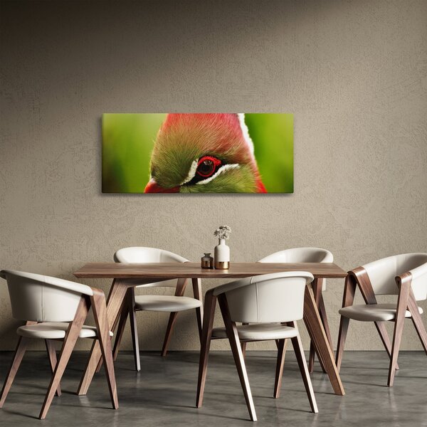Slika šarene ptice (120x50 cm)