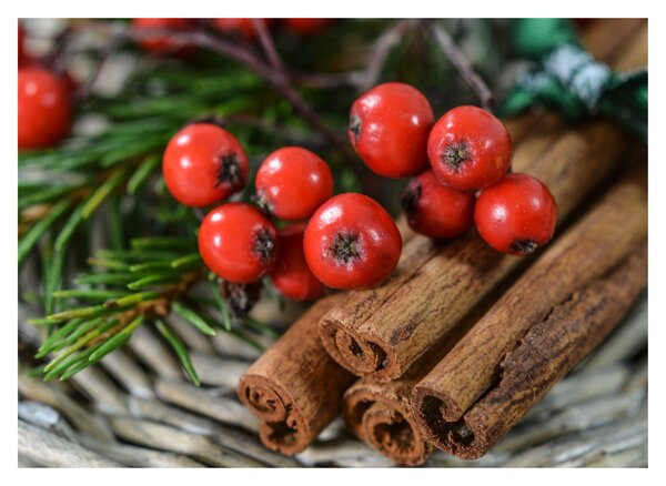 Slika jarebike i cimeta (70x50 cm)