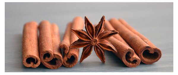 Slika cimeta (120x50 cm)