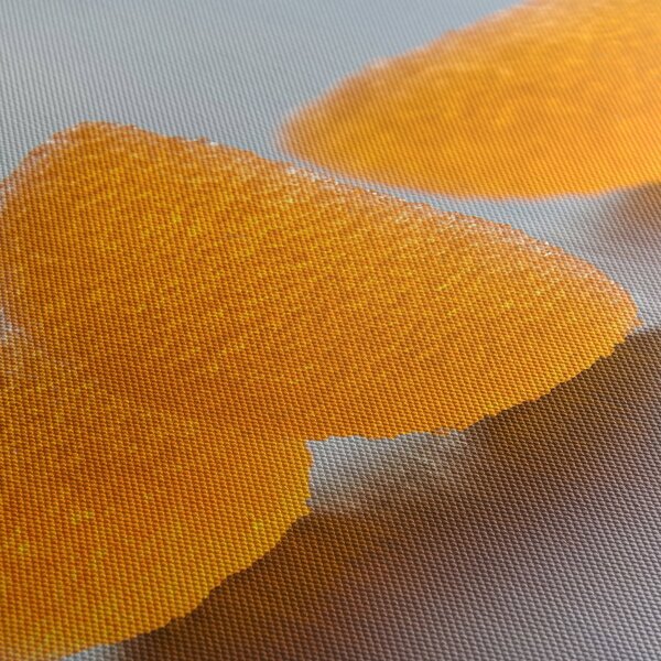 Slika mandarina (150x105 cm)